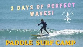 Miniature : 🌊 Perfect Waves, Sunshine & Empty Lineups | 3-Day Paddle Surf Camp ☀️🏄‍♂️