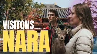Miniature : Notre dernier jour au Japon : on visite Nara depuis Osaka (et c’est parfait)