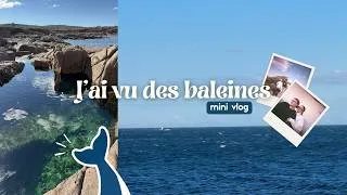 Miniature : mini vlog (des courses, du billard et des baleines ??🐋)
