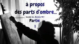Miniature : Partie 1 - À propos des parts d'ombre...