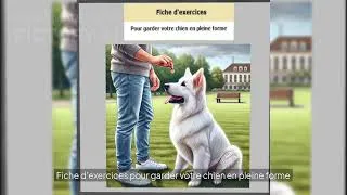 Miniature : Comment Prendre Soin de Votre Berger Blanc Suisse : Le Pack ultime pour un BBS Heureux et Équilibré