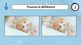 Miniature : Trouve la Différence : Chats Trop Mignons à l’Épreuve de ton Regard ! 🐱👀