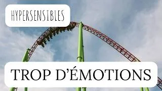 Miniature : HYPERSENSIBLES : pourquoi nos ÉMOTIONS ressemblent aux montagnes russes ?