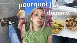 Miniature : POURQUOI J'AI DISPARU