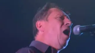 Miniature : AFFECTION PLACE Live @JackJack - Lyon Bron (France) - 13 octobre 2023