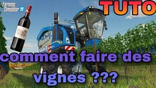 Miniature : Comment faire des vignes ??? De la plantation jusqu'à la bouteille