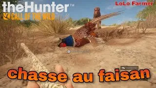 Miniature : Chasse au faisan sur the hunter call of the wild