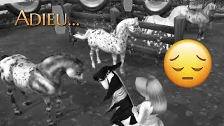 Miniature : SSO: Adieu... | Achats d'anciens chevaux ❤️