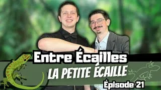 Miniature : J'ACCUEILLE UN ÉLEVEUR AMATEUR ! (Avec La Petite Écaille) [Entre Écailles - Ep 21]