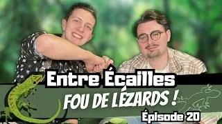 Miniature : PARLONS LÉZARDS ! (Avec Martin Dagoreau) [Entre Écailles - Ep 20]