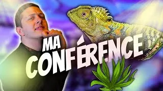Miniature : J'AI ANIMÉ UNE CONFÉRENCE SUR LES GONOCEPHALUS ! (Terrario Nièvre n°5) [Divers - Ep 24]
