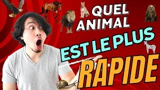 Miniature : Quel animal est le plus rapide ?