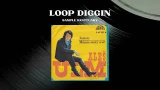 Miniature : Ales Ulm - Mámin malý svět | Pop 1974 | Loop Diggin