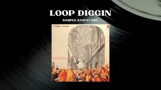 Miniature : Geinoh Yamashirogumi (芸能山城組) - Kleenex (クリネックス) | Jazz 1978 | Loop Diggin