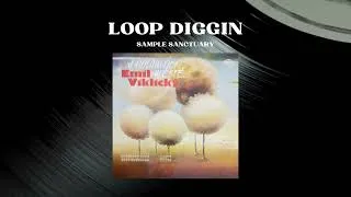 Miniature : Emil Viklický - Epilog (V Holomóci městě) | Jazz 1978 | Loop Diggin