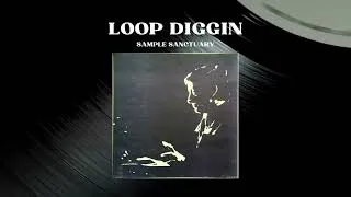 Miniature : Trio Wiaczeslawa Ganielina - Sentymentala Podroz | Jazz 1975 | Loop Diggin