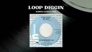 Miniature : The New Perspective - It Will Never Be The End | Soul 1970 | Loop Diggin