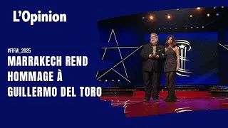 Miniature : FIFM 2025 : Marrakech rend hommage à Guillermo Del Toro