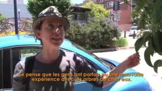 Miniature : Guérilla végétale : Leur façon de reprendre le pouvoir végétal sur la rue va vous surprendre !