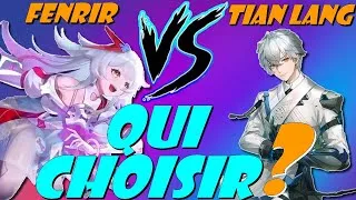 Miniature : QUI Prendre ? TIAN LANG ou FENRIR ou Garder Samir / Crow ? #toweroffantasyfr #toweroffantasy