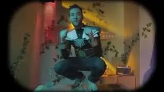 Miniature : Fixpen Singe : Caballero x Lomepal x Fixpen Sill - Hybride (prod Stratega)