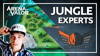 Miniature : JUNGLE GUIDE - Débutant / Experts - Record absolu level 15 sur Arena of Valor