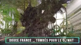 Miniature : Douce France | Tombés pour le climat