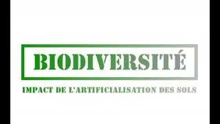 Miniature : Biodiversité /!\ Impact de l'artificialisation des sols ²