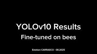 Miniature : Bee Detection with a Fine-Tuned YOLOv10 Model | GeoDanceHive