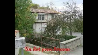 Miniature : Un îlot pour berceau 049-Histoire peu banale