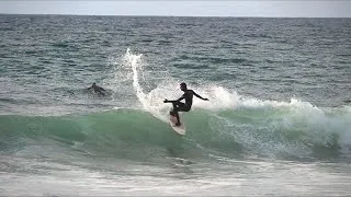 Miniature : SURFING COMBO 🏄