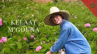 Miniature : Immersion dans la saison des roses au Maroc - récolte, festival - يومين ف قلعة مكونة