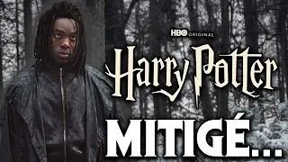 Miniature : La SÉRIE HARRY POTTER Se Révèle Et... ÇA VA FAIRE POLÉMIQUE !
