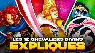 Miniature : Les 12 CHEVALIERS DIVINS de One Piece EXPLIQUÉS