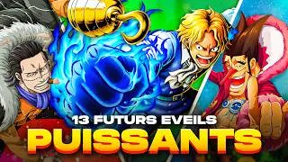 Miniature : 13 FUTURS ÉVEILS Surpuissants de One Piece