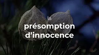 Miniature : Présomption d'innocence de Loup Blanc Chaman - pétition de soutien
