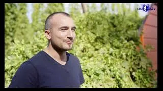 Miniature : Documentaire Bière, la pression monte