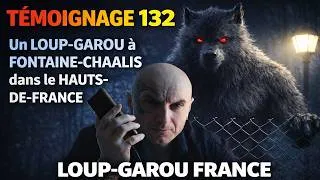Miniature : 🐺 TÉMOIGNAGE 132 - UN LOUP-GAROU A FONTAINE-CHAALIS - HAUTS-DE-FRANCE
