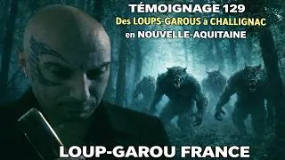 Miniature : 🐺 TÉMOIGNAGE 129 - DES LOUPS-GAROUS A CHALLIGNAC - NOUVELLE-AQUITAINE