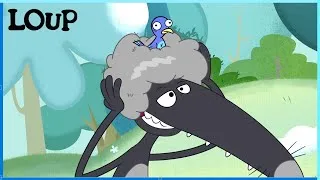 Miniature : Le loup qui voulait être frisé | Loup | 20' Compilation