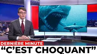 Miniature : Les scientifiques ont enfin identifié le prédateur qui a avalé un grand requin blanc