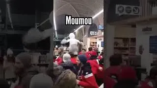 Miniature : Moumou la reine des mouettes !! ||Lège-cap-ferret rugby aire d’autoroute ||