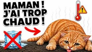 Miniature : Vous Faites Peut-Être Ces 15 Erreurs Dangereuses Avec Votre Chat en Été