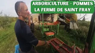 Miniature : Récolte, stockage, calibrage, vente direct: immersion dans une ferme de pommes 🍎