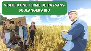 Miniature : Visite de Les Champs de Blé, Paysans Boulangers bio