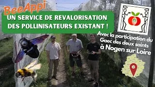 Miniature : Beeappi, un service technique pour renforcer et pérenniser les pollinisateurs existant