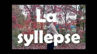 Miniature : #6 - La figure du jeu de mot - La syllepse (avec le rap français)