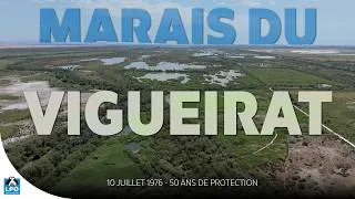 Miniature : 50 ans de protection des Marais du Vigueirat