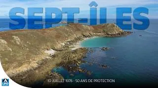 Miniature : 50 ans de protection de la Réserve naturelle des Sept-Îles