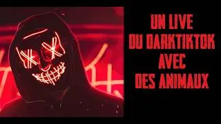 Miniature : HISTOIRE D'HORREUR - Un live du DarkTikTok avec des animaux - CREEPYPASTA FR